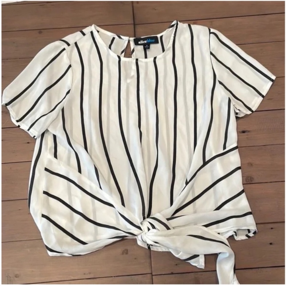 Alice Blue Sheer Striped Tie Waist Blouse S
